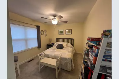 895 Lakeshore Drive N, Orangeville, IL 62939 - Photo 30