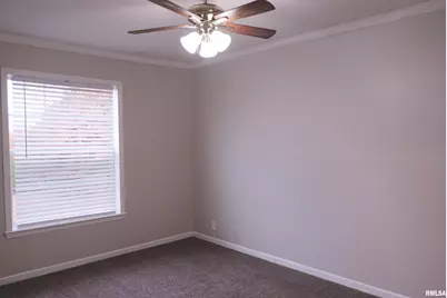 890 Gilead Church Road, Vienna, IL 62995 - Photo 36