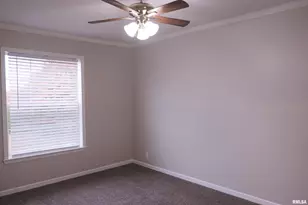 890 Gilead Church Rd, Vienna, IL 62995 - Photo 36