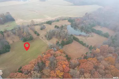 890 Gilead Church Road, Vienna, IL 62995 - Photo 12