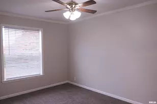 890 Gilead Church Rd, Vienna, IL 62995 - Photo 36