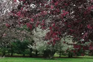 1100 Moore St, Eldorado, IL 62930 - Photo 20