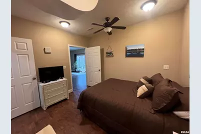 1415 S Lakeshore Drive S, Orangeville, IL 62939 - Photo 34