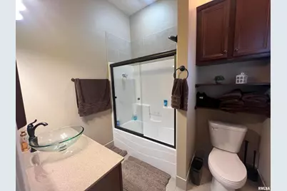 1415 S Lakeshore Drive S, Orangeville, IL 62939 - Photo 28