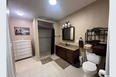 1415 S Lakeshore Drive S, Orangeville, IL 62939 - Photo 36