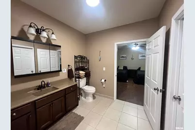 1415 S Lakeshore Drive S, Orangeville, IL 62939 - Photo 38