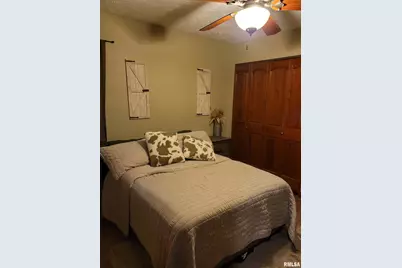 19650 N Pisque Lane, Chicago, IL 62898 - Photo 26