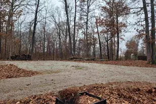 19650 N Pisque Ln, Chicago, IL 62898 - Photo 42