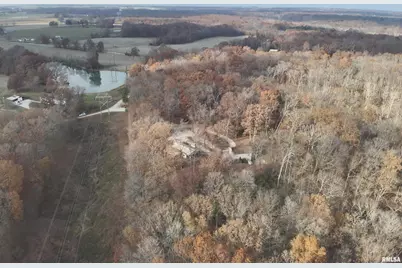 19650 N Pisque Lane, Chicago, IL 62898 - Photo 10