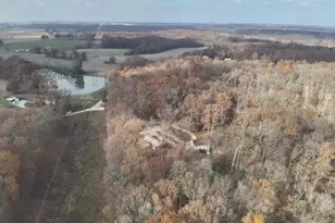 19650 N Pisque Ln, Chicago, IL 62898 - Photo 10