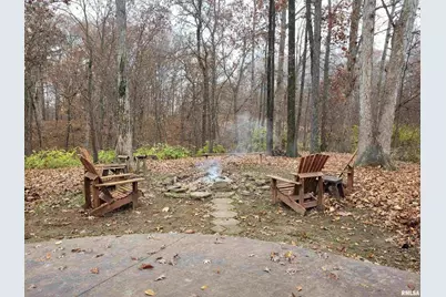 19650 N Pisque Lane, Chicago, IL 62898 - Photo 32