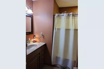 19650 N Pisque Lane, Chicago, IL 62898 - Photo 28