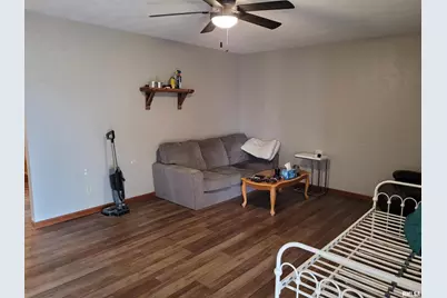 469 E Main Street, Radom, IL 62876 - Photo 4