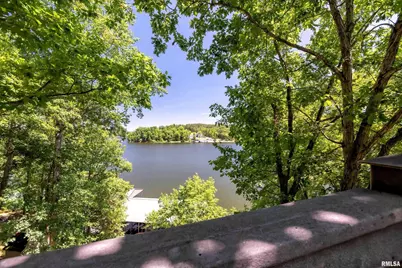 1165 Lake Shore Dr N Drive, Orangeville, IL 62939 - Photo 38