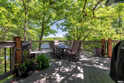 1165 Lake Shore Dr N Drive, Orangeville, IL 62939 - Photo 44