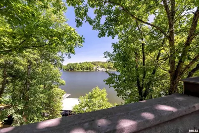 1165 Lake Shore Dr N Drive, Orangeville, IL 62939 - Photo 38