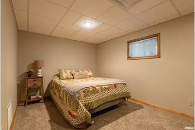 1165 Lake Shore Dr N Drive, Orangeville, IL 62939 - Photo 28