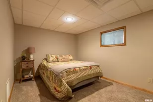 1165 Lake Shore Dr N Dr, Orangeville, IL 62939 - Photo 28