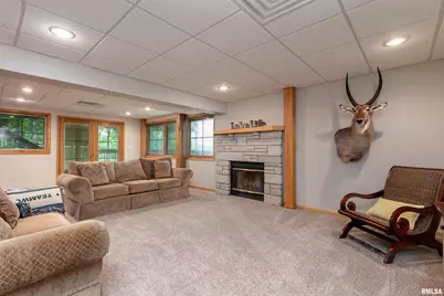 1165 Lake Shore Dr N Drive, Orangeville, IL 62939 - Photo 24