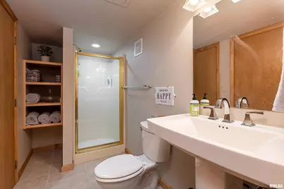 1165 Lake Shore Dr N Drive, Orangeville, IL 62939 - Photo 30