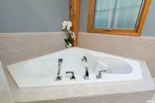 1165 Lake Shore Dr N Dr, Orangeville, IL 62939 - Photo 14