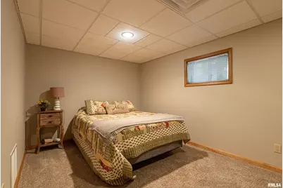 1165 Lake Shore Dr N Drive, Orangeville, IL 62939 - Photo 28