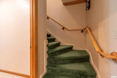 1165 Lake Shore Dr N Drive, Orangeville, IL 62939 - Photo 18