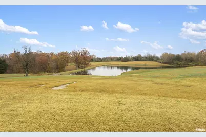 221 E Gore Street, Orangeville, IL 62939 - Photo 18