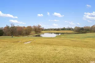 221 E Gore St, Orangeville, IL 62939 - Photo 18