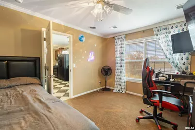 221 E Gore Street, Orangeville, IL 62939 - Photo 22