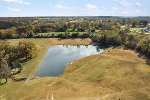 221 E Gore St, Orangeville, IL 62939 - Photo 24