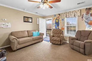 221 E Gore St, Orangeville, IL 62939 - Photo 20