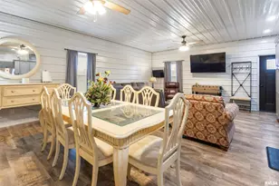 221 E Gore St, Orangeville, IL 62939 - Photo 8