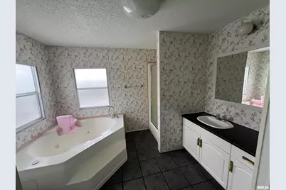 112 N Old Marion Road, Orangeville, IL 62939 - Photo 16