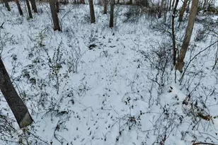 3831 E State Hwy, Rockford, IL 62461 - Photo 82