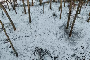 3831 E State Hwy, Rockford, IL 62461 - Photo 78