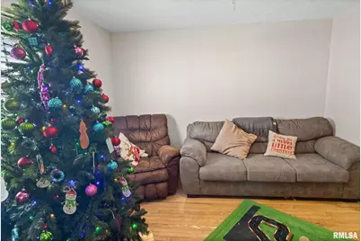 7302 Hoffman Road, Centralia, IL 62801 - Photo 12