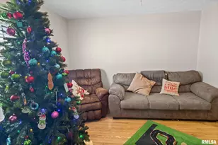 7302 Hoffman Rd, Centralia, IL 62801 - Photo 12