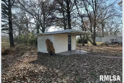 7345 US Hwy 45 S, Carrier Mills, IL 62917 - Photo 10