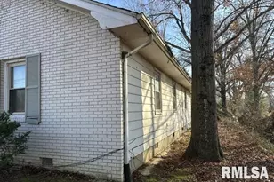 7345 US Hwy 45 S, Carrier Mills, IL 62917 - Photo 6