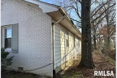 7345 US Hwy 45 S, Carrier Mills, IL 62917 - Photo 6