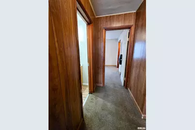 103 Watkins Street, Cisne, IL 62823 - Photo 52