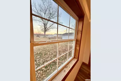 274 Oaktree Ave Avenue, Salem, IL 62881 - Photo 22