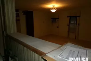 23 Il 34 S, Rosiclare, IL 62982 - Photo 34