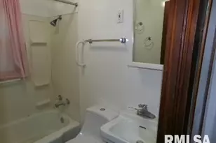 23 Il 34 S, Rosiclare, IL 62982 - Photo 40