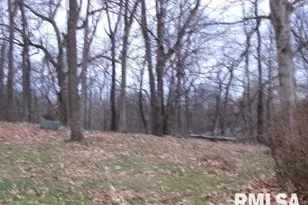 23 Il 34 S, Rosiclare, IL 62982 - Photo 4