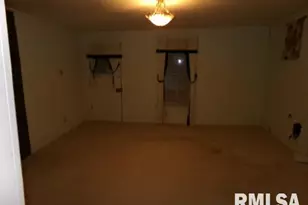 23 Il 34 S, Rosiclare, IL 62982 - Photo 36