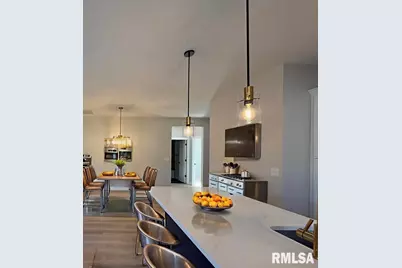 333 S Hanseman Street, Carbondale, IL 62901 - Photo 6