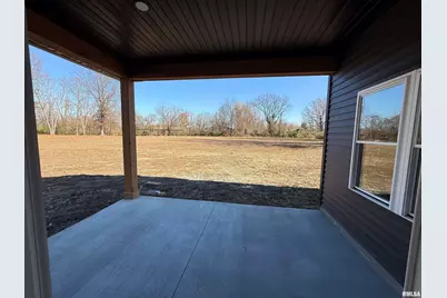 333 S Hanseman Street, Carbondale, IL 62901 - Photo 22