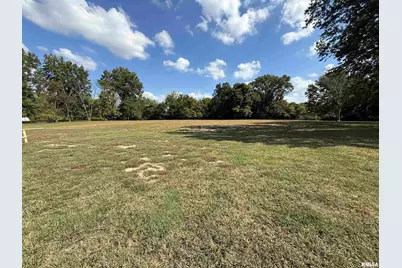 333 S Hanseman Street, Carbondale, IL 62901 - Photo 2